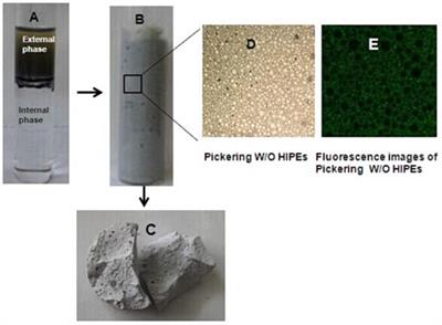 Porous and Magnetic Molecularly Imprinted Polymers via Pickering High Internal Phase Emulsions Polymerization for Selective Adsorption of λ-Cyhalothrin